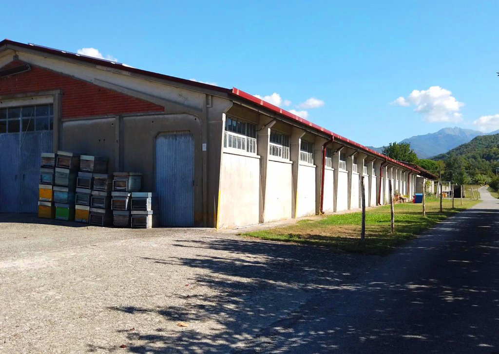 Gruppo di fabbricati in vendita  1200 m² in buone condizioni, Fivizzano, località Lunigiana