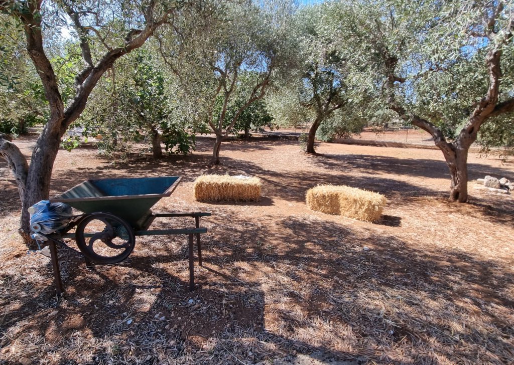 Detached property for sale  150 sqm in good condition, Ostuni, locality Itria Valley