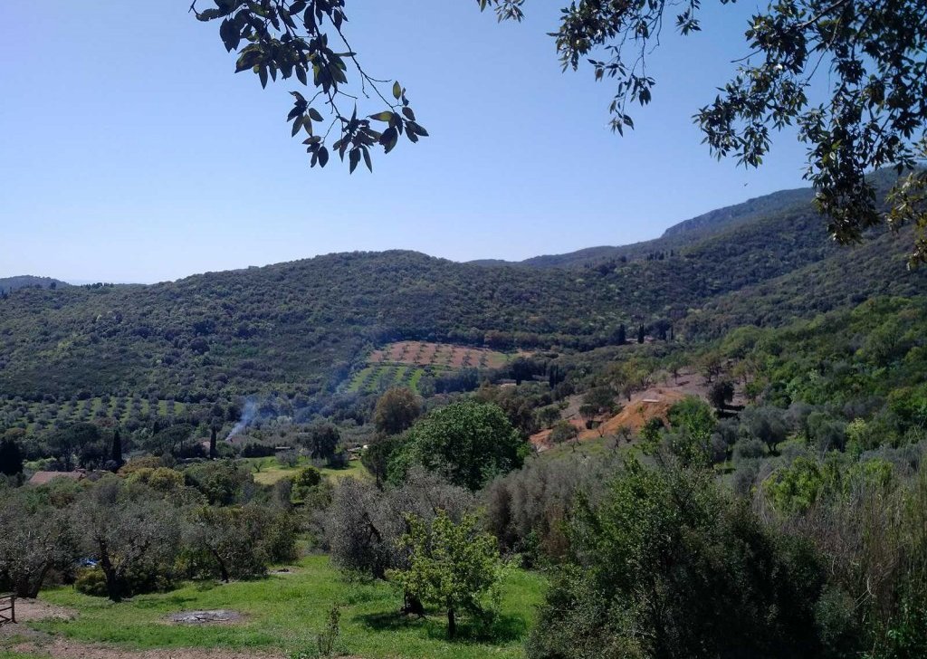 Sale Detached property Monte Argentario - VILLA DEI GLICINI Locality 