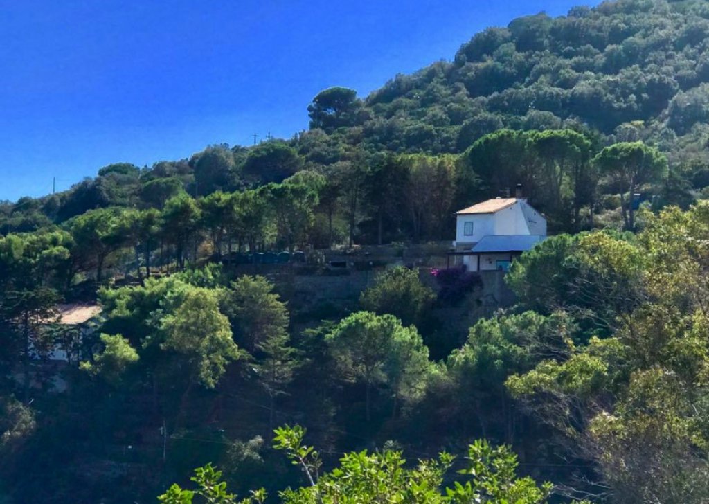 Sale Detached property Isola del Giglio - VILLA DEI MIRTI Locality 