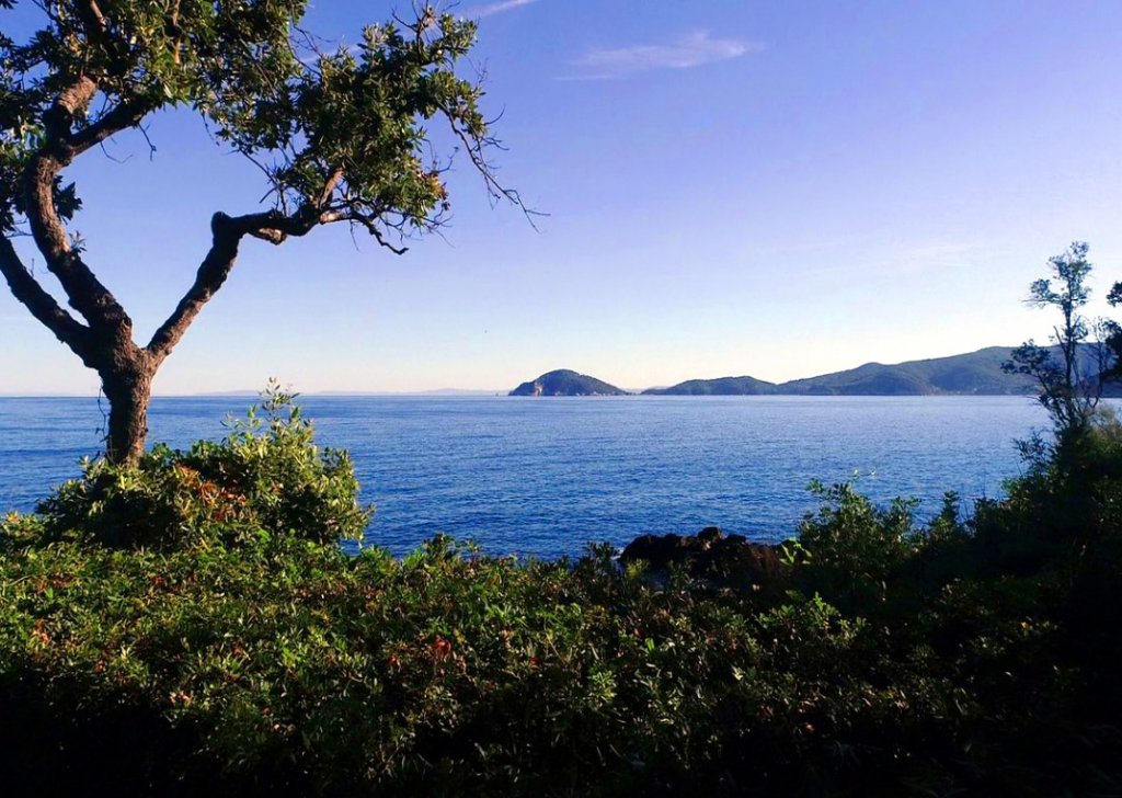 Detached property for sale  200 sqm, Marciana, locality Island of Elba