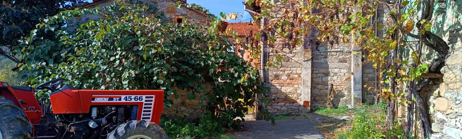 Vendita Gruppo di fabbricati Casola in Lunigiana - IL BORGHETTO DEL SOLE Località Lunigiana