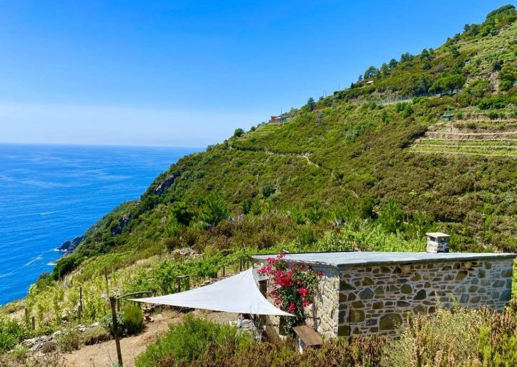 Detached property for sale  88 sqm in good condition, Riomaggiore, locality Cinque Terre