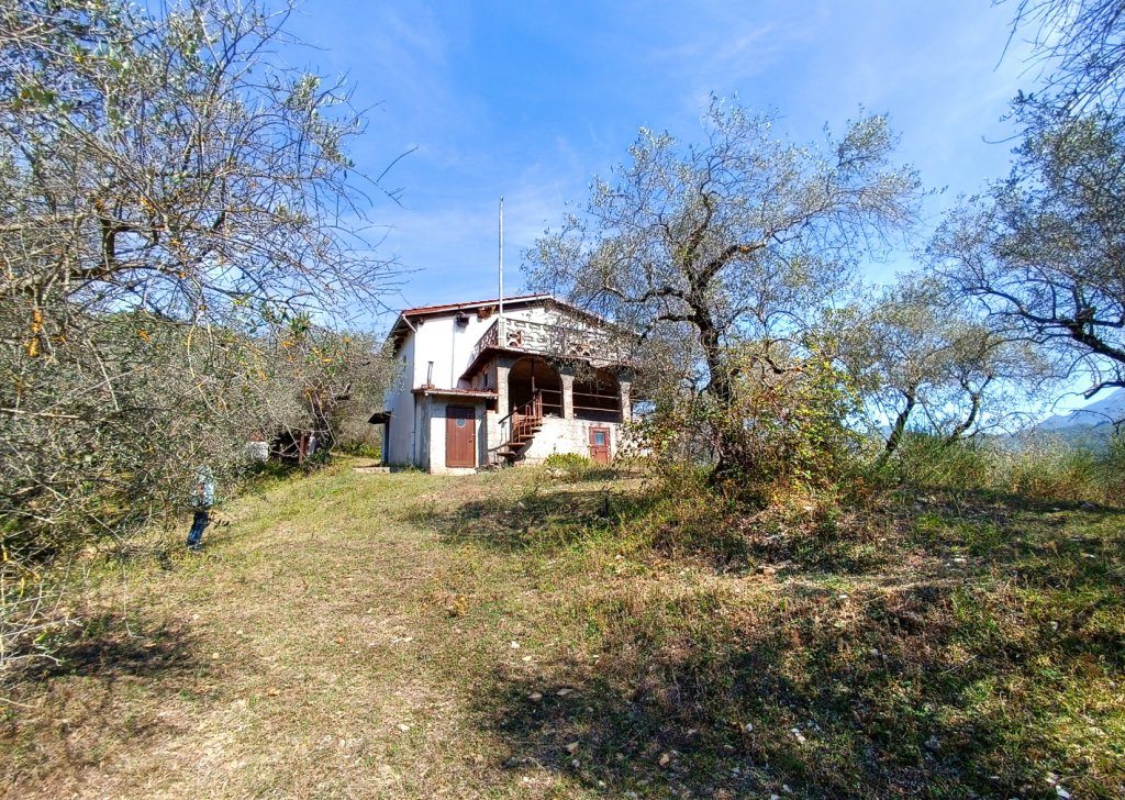 Sale Detached property Casola in Lunigiana - LA CASA DEGLI ULIVI Locality 