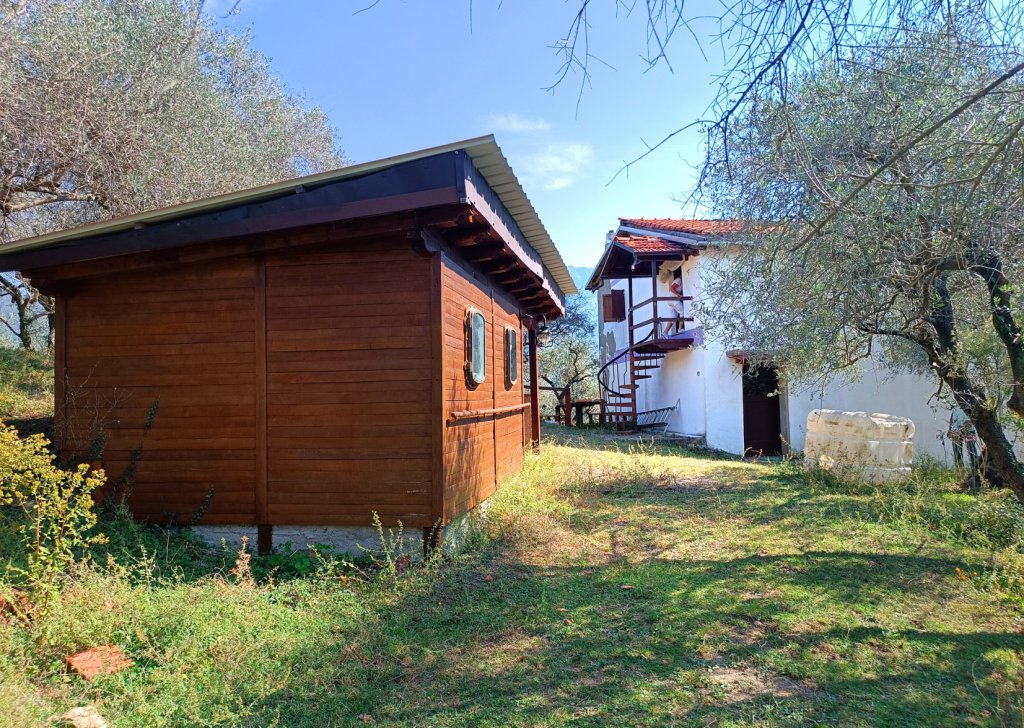 Sale Detached property Casola in Lunigiana - LA CASA DEGLI ULIVI Locality 