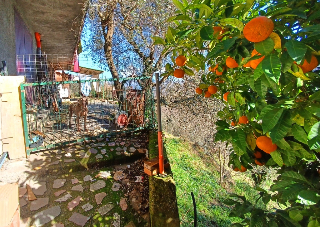 Detached property for sale  270 sqm in excellent condition, Fosdinovo, locality Near the coast