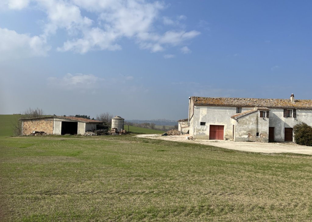 Sale Detached property Montecarotto - IL TACCHINO DISPETTOSO Locality 