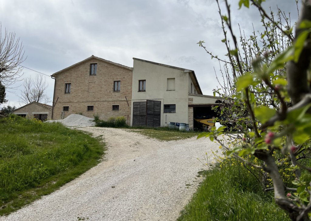 Sale Detached property Ostra - LA DOLCE CILIEGIA Locality 