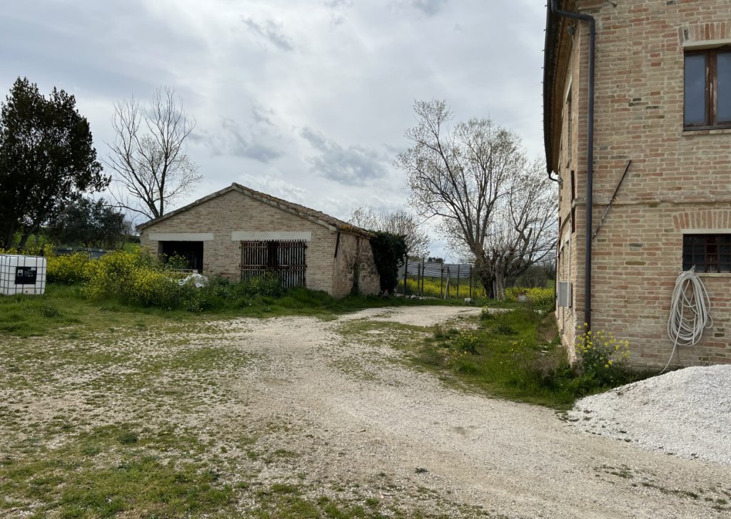 Sale Detached property Ostra - LA DOLCE CILIEGIA Locality 