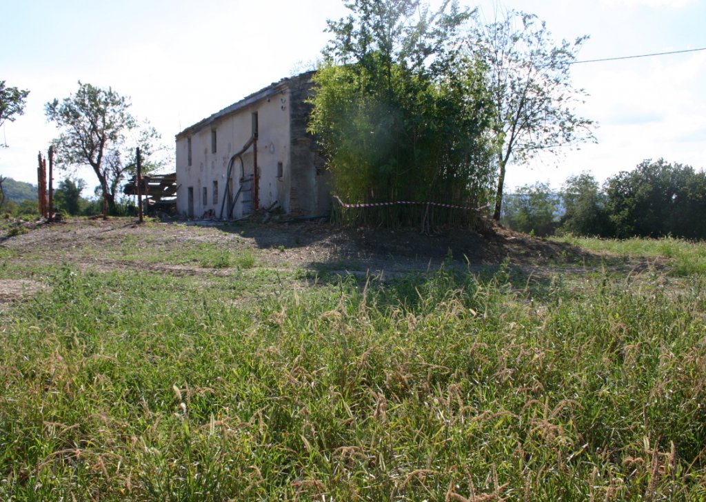 Sale Detached property Terre Roveresche - IL FAGIANO Locality 