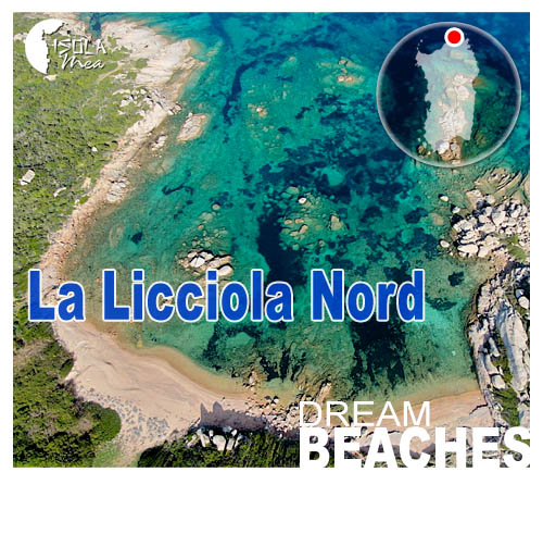 Vedi propriet in vendita