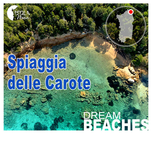 Vedi propriet in vendita