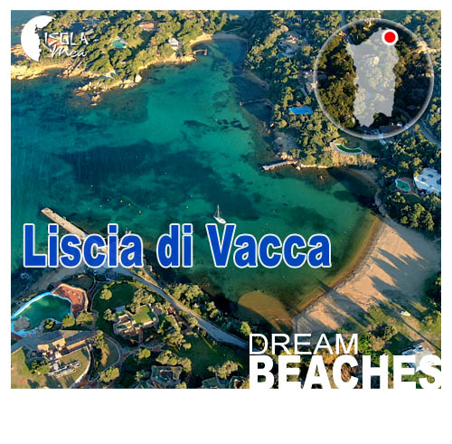Vedi propriet in vendita