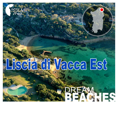 Vedi propriet in vendita