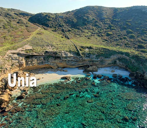 Unia