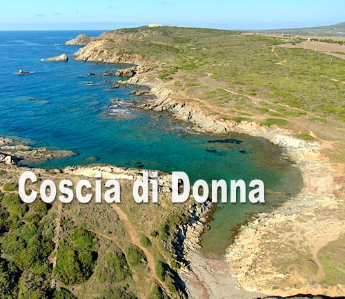 Coscia di Donna