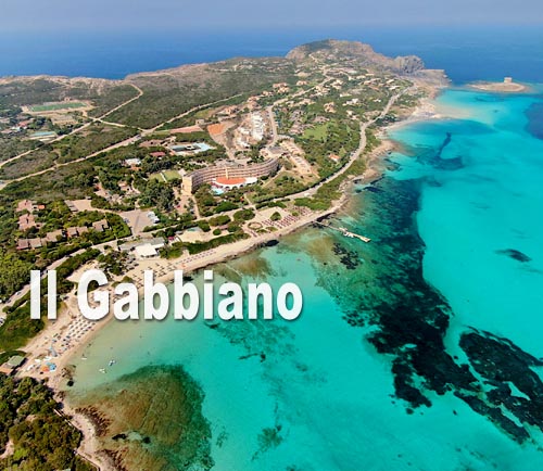 Il Gabbiano