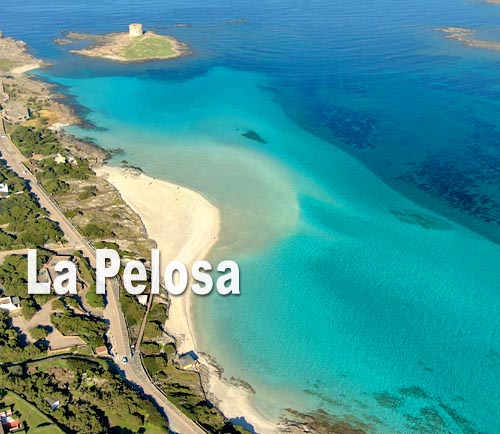 La Pelosa
