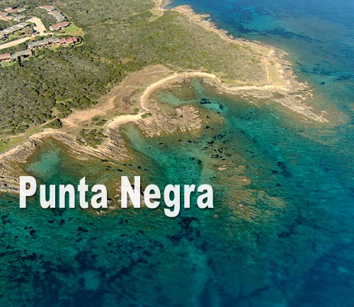Punta Negra
