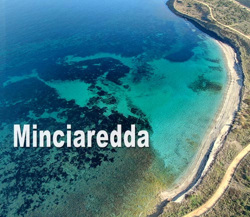 Minciaredda