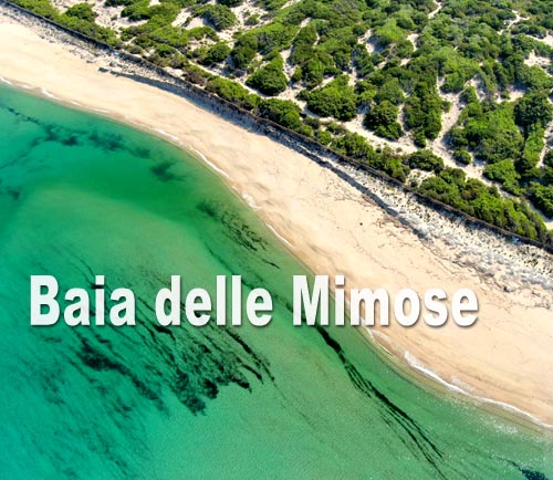 Baia delle Mimose