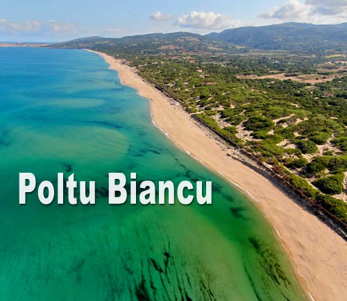 Poltu Biancu