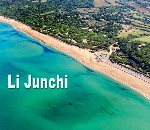 Li Junchi