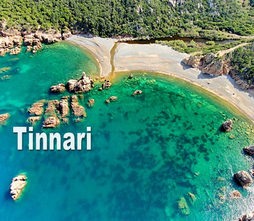 Tinnari