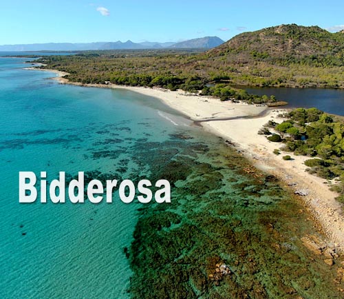 Bidderosa