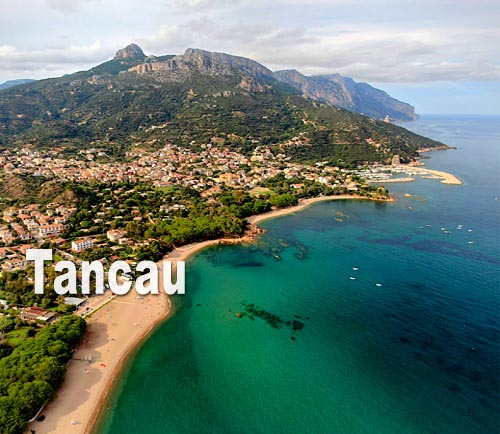 Tancau