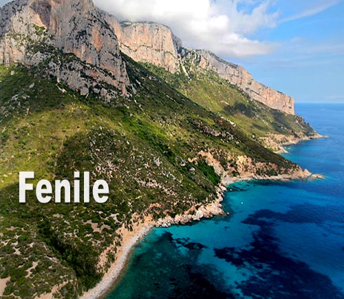 Fenile