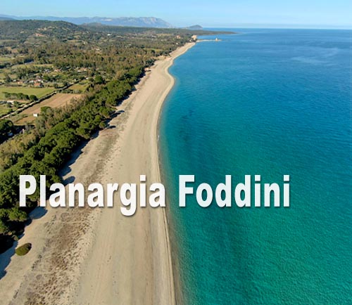 Planargia - Foddini
