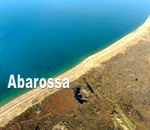 Abarossa