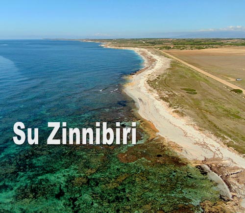 Su Zinnibiri
