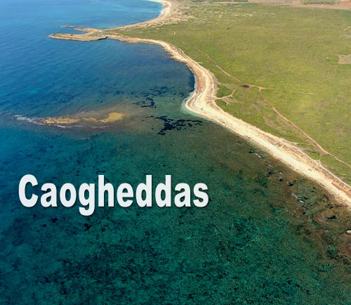 Caogheddas