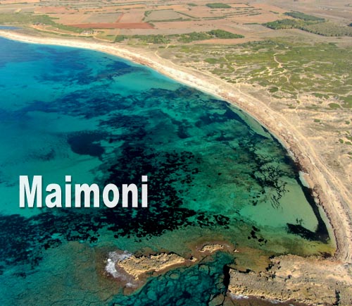 Maimoni
