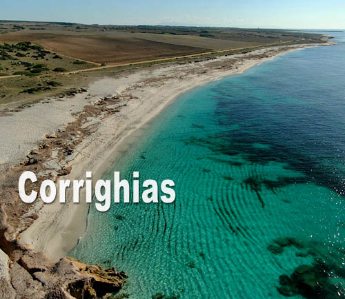 Corrighias