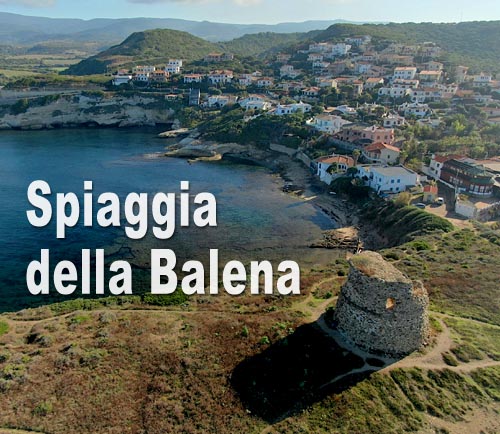 Spiaggia della Balena