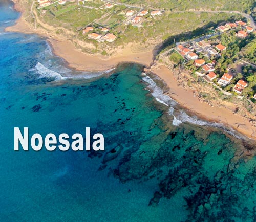 Noesala