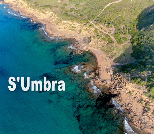 Sumbra