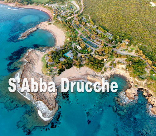 Sabba Drucche