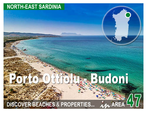 Vedi propriet in vendita