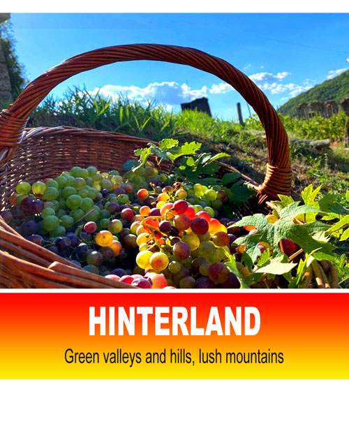 Vedi propriet in vendita