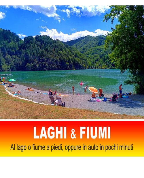 Vedi propriet in vendita