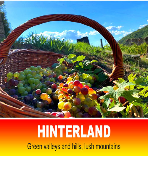 Vedi propriet� in vendita