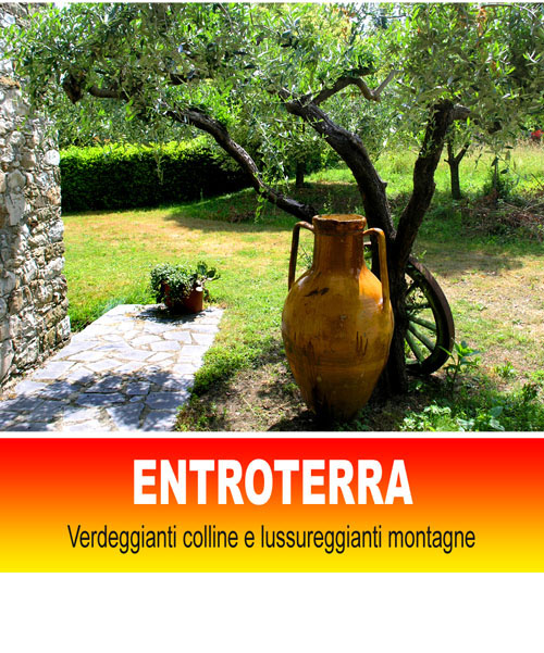 Vedi propriet in vendita