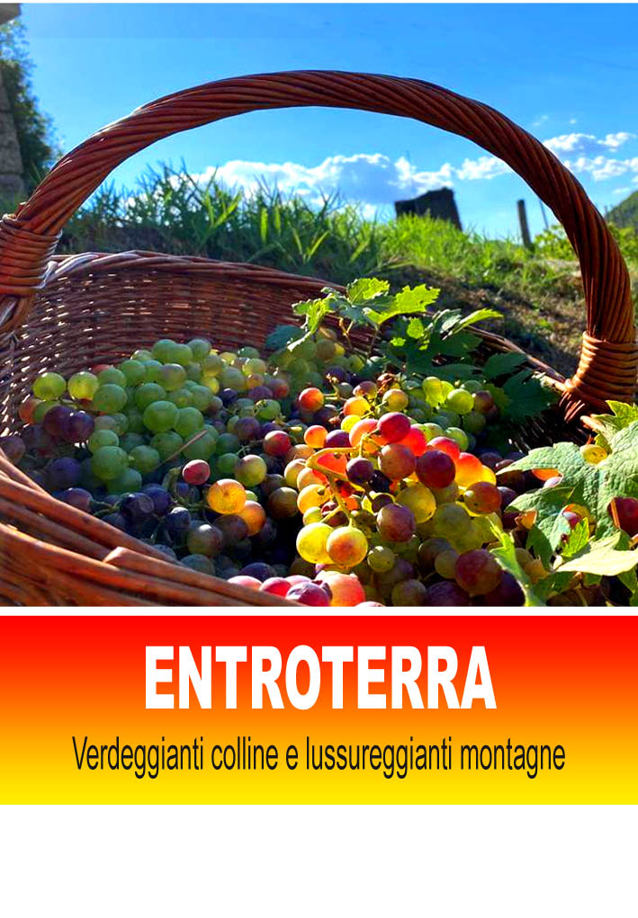 Vedi propriet� in vendita